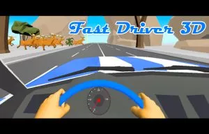 Car Driver 3D