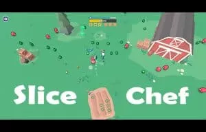 Slice Chef Food Survivor