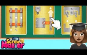 Screw Puzzle: Nuts And Bolts