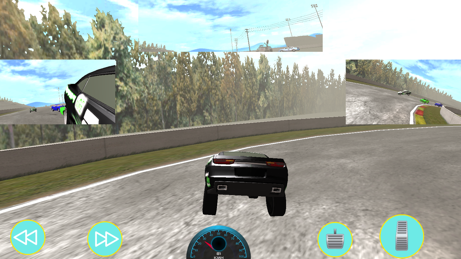 Pro-Car-Racing-6