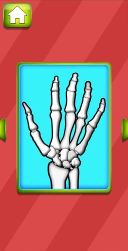 REDHANDS (9)