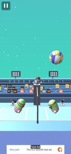 Volleyball-13