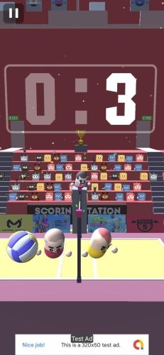 Volleyball-2