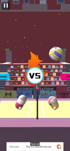 Volleyball-6