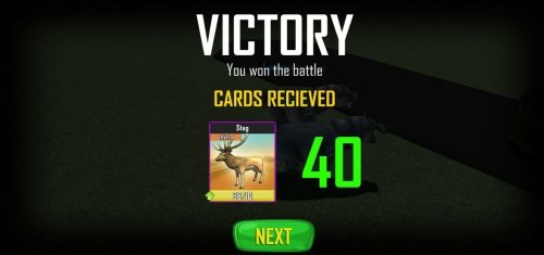 animal war (11)
